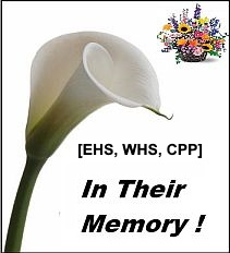 In Their Memory Image