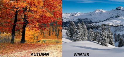 AUTUMN-WINTER IMAGE